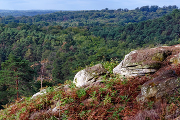 Fontainebleau forest hills  in the french Gâtinais regional nature park
