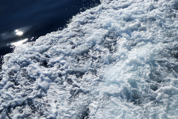 Bubbles of the foammy sea