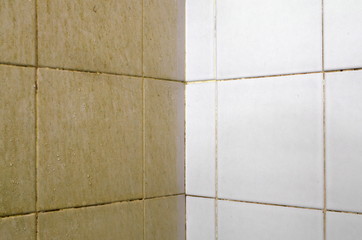 Compare stains with dirt on the bathroom wall tiles.