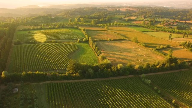 Aerial 4K shot of beautiful vineyard fields at sunrise. Tuscany, Italy.