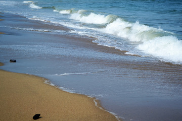 Waves at shore
