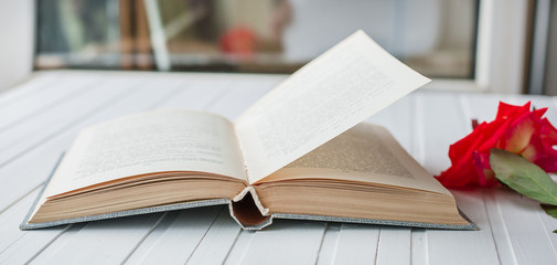 Red rose flower over open book on white wooden background, romantic and love.