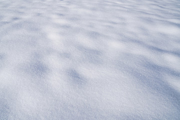 Fresh White Snow