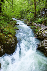 Rapids in the canyon of the Kamačnik River in autumn, Croatia