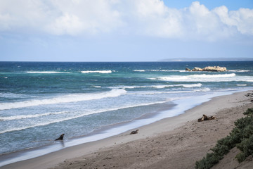 Kangaroo Island, South Australia