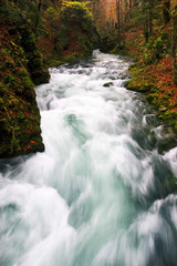 Rapids in the canyon of the Kamačnik River in autumn, Croatia