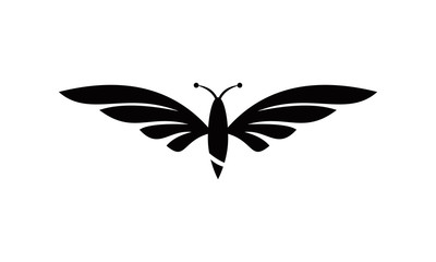 butterfly logo vector icon