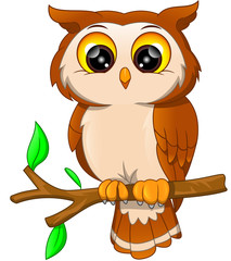 Cartoon owl bird