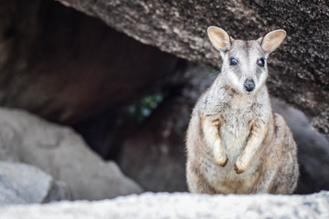 Queensland, Australia