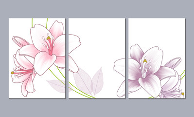 Set of 3 canvases for wall decoration in the living room, office, bedroom, kitchen, office. Home decor of the walls. Floral background with flowers of lily. Element for design. 