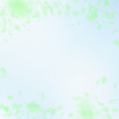 Green flower petals falling down. Original romanti