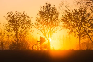 Fototapeten Radfahrer entlang der Schelde bei einem wunderschönen Sonnenaufgang mit Nebelschicht im Zevergem Scheldemeersen. © krist