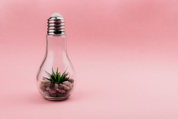 Aloe plant and rocks in glass light bulb creative decoration on pastel pink background with copy space. Indoor terrarium. Minimal style template for web, social media, advertising. Stock photo.
