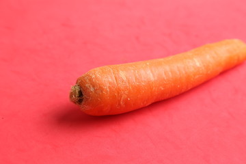 delicious carrot in color background