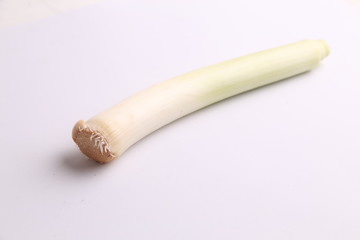 delicious leek in color background
