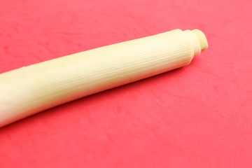 delicious leek in color background