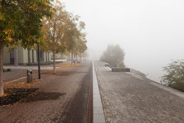 Fahrradweg im Nebel