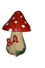 red mushroom isolated on white background