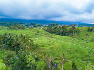 Fototapeta na wymiar Bali rice field terrace aerial footage taken during cloudy day in Jatiluwih Unesco heritage protected landscape and famous movie set in Indonesia