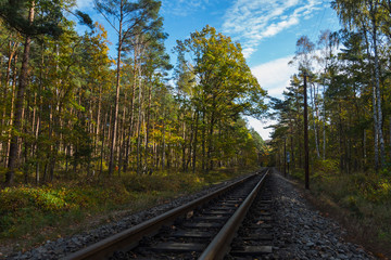 Fototapeta premium Ruegen Herbst tag outdoor reise