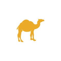 Camel logo template vector icon illustration design