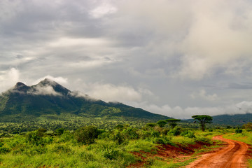 Landschaftsbilder aus dem Nationalpark Tsavo Ost Tsavo West und Amboseli - obrazy, fototapety, plakaty