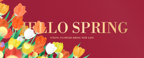 Elegant red and gold vintage hello spring text floral frame banner, colorful tulips bouquet background vector illustration