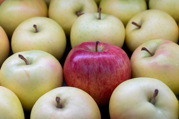 Background of fresh red apple and yellow apple