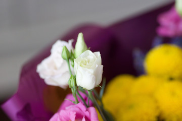 Bouquet of beautiful garden flowers