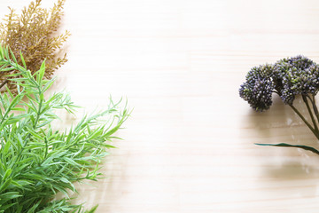 植物のバックグラウンド