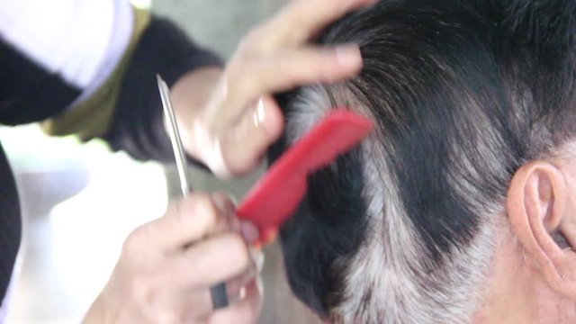 Hairdresser cutting client's hair in salon with scissors and comb