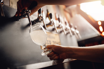 Barman pours light alcoholic cider of keg tap into glass. Dark background