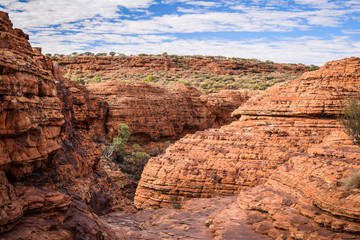 Red Centre, Northern Territory, Australia