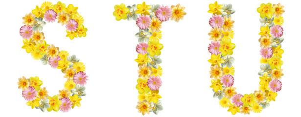 Letters of flowers. D, E, F. Yellow, white and pink flowers: daffodils, gerberas, daisies. Bright creative concept, white background. English alphabet. The concept of congratulations, spring, summer.