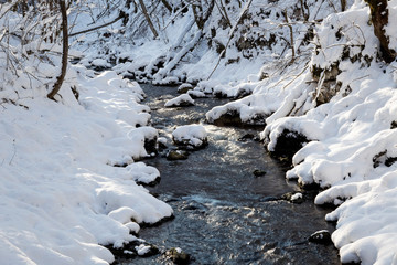 The Kamacnik River covered in deep snow, Croatia