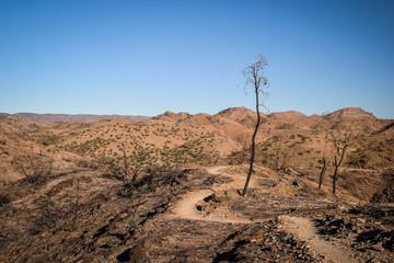 Red Centre, Northern Territory, Australia