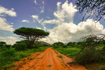 Landschaftsbilder aus dem Nationalpark Tsavo Ost Tsavo West und Amboseli