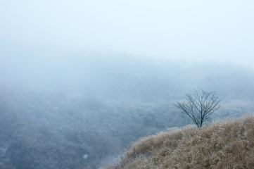 Obraz na płótnie Canvas 阿蘇山の冬の風景。雪山。