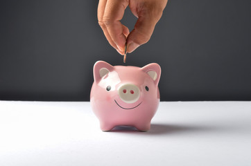 Hand putting coin to piggy bank. Selective focus.