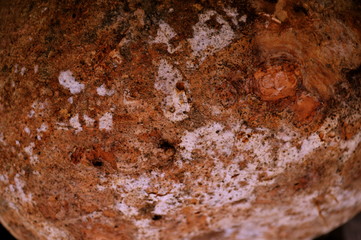 Peel the fruit that is dried until dry.