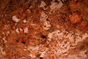 Peel the fruit that is dried until dry.