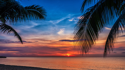Sunset and palms