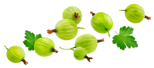 Green gooseberry isolated on white background, collection - obrazy, fototapety, plakaty