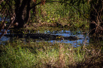 Kakadu National Park, Northern Territory, Australia