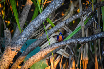 Kakadu National Park, Northern Territory, Australia