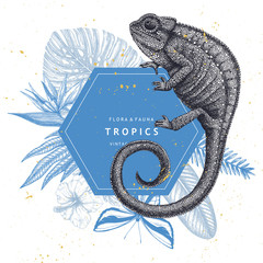 Tropical banner design realistic chameleon drawing. Vector frame with hand drawn tropical plants, exotic flowers, palm leaves, insects and chameleon. Vintage wildlife background.  © sketched-graphics