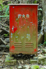 red lantern in the garden