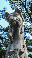 Fototapeta na wymiar fox statue