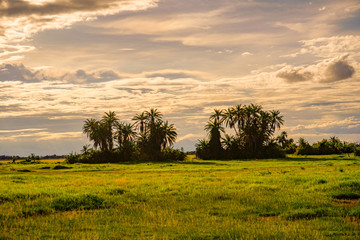 Landschaftsbilder aus dem Nationalpark Tsavo Ost Tsavo West und Amboseli
