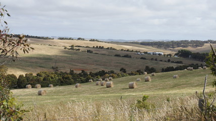 Obraz premium Hay farm on a cloudy day